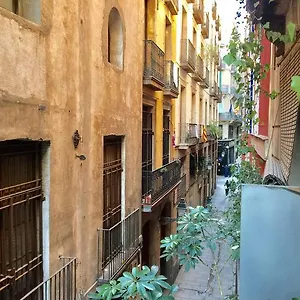 Guest house Calma House, Barcelona